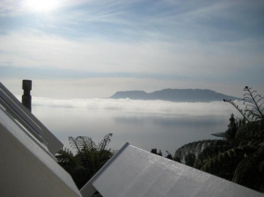 te Whare -Lake Tarawera tree-top nest, Lake Tarawera